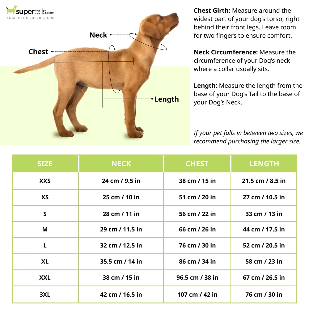 Cheeku Petfluencer Graphic Cotton T Shirt for Dogs and Cats (Sky Blue)